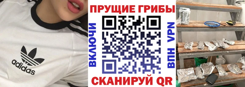 Псилоцибиновые грибы мухоморы  Аркадак 